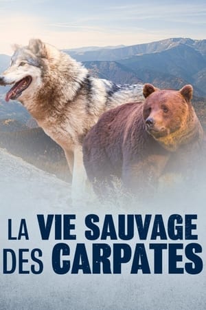 La Vie sauvage des Carpates poszter