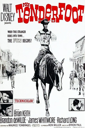 The Tenderfoot poszter