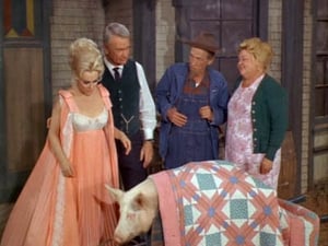 Green Acres Season 1 Ep.28 28. epizód