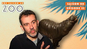 Une saison au zoo Season 8 Ep.23 23. epizód