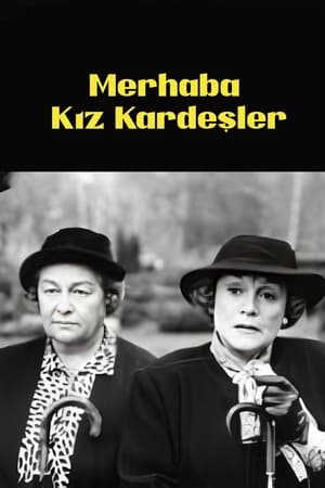 Die Hallo-Sisters poszter