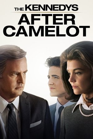 A Kennedy család: Camelot után