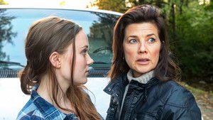 The Wrong Babysitter háttérkép