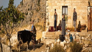 سايبة háttérkép