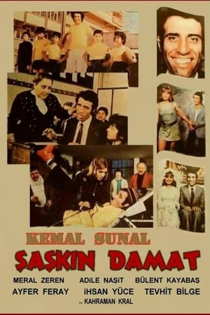 Şaşkın Damat poszter