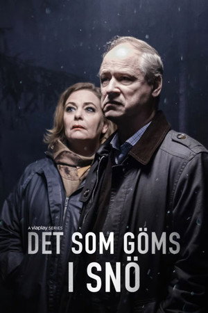 Det som göms i snö poszter