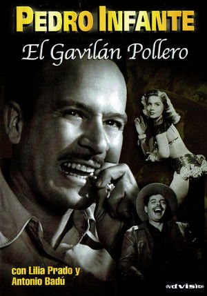 El gavilán pollero poszter