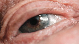 Das Verschwinden vor dem Inneren Auge háttérkép