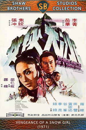 冰天俠女 poszter