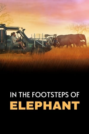 In the Footsteps of Elephant poszter