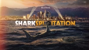 Sharksploitation háttérkép