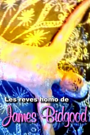 Les rêves homo de James Bidgood