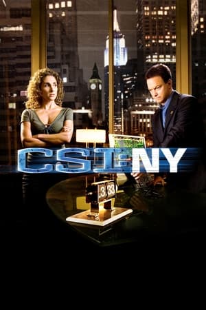 CSI: New York-i helyszínelők poszter