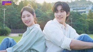 여행을 대신해 드립니다 kép