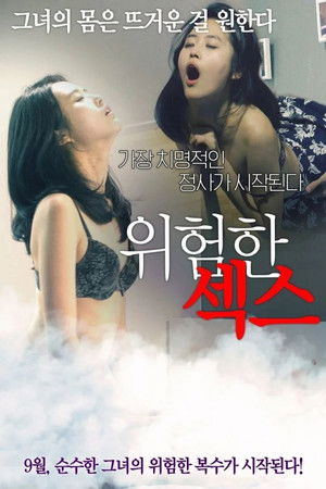 위험한 섹스 poszter