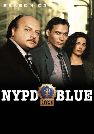 New York rendőrei