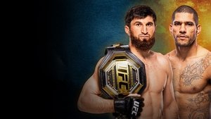 UFC 320: Ankalaev vs. Pereira 2 háttérkép