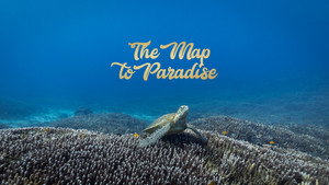 The Map to Paradise háttérkép