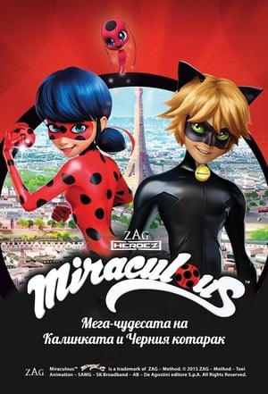 Miraculous - Katicabogár és Fekete Macska kalandjai poszter