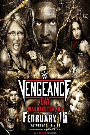 NXT Vengeance Day 2025 poszter