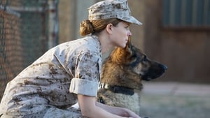 Megan Leavey háttérkép