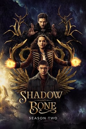 Shadow and Bone - The Afterparty poszter