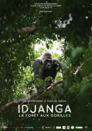 Idjanga, la forêt aux gorilles poszter