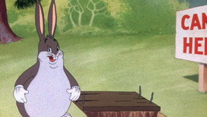 Wabbit Twouble háttérkép