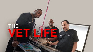 The Vet Life kép
