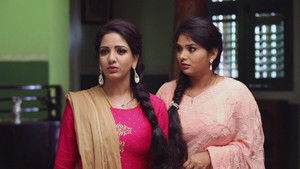 சின்னதம்பி Season 1 Ep.47 47. epizód