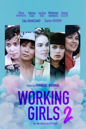 Working Girls 2 poszter