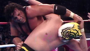 WWF/AJPW/NJPW Wrestling Summit háttérkép