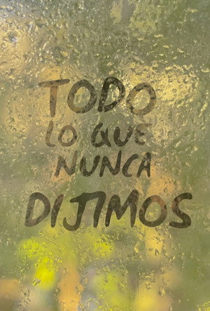 Todo Lo Que Nunca Dijimos poszter