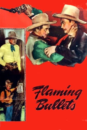 Flaming Bullets poszter