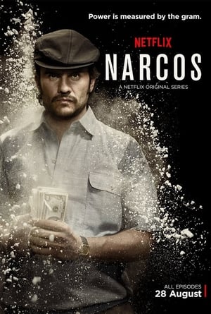 Narcos poszter