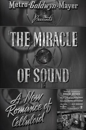 A New Romance of Celluloid: The Miracle of Sound poszter