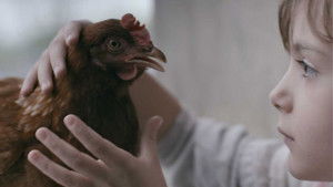 The Chicken háttérkép