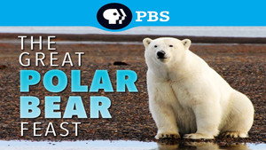 The Great Polar Bear Feast háttérkép