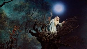 The Metropolitan Opera: Rusalka háttérkép