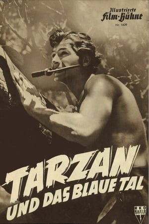 Tarzan's Magic Fountain poszter