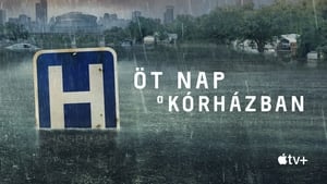 Öt nap a kórházban kép