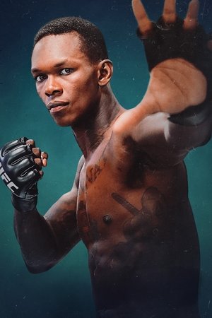 Stylebender poszter