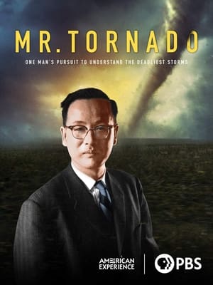 Mr. Tornado poszter