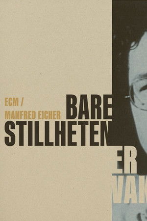 Bare stillheten er vakrere poszter