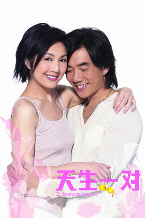 天生一對 poszter