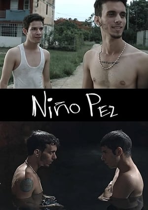 Niño pez poszter