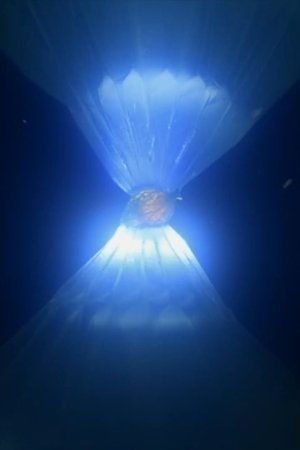 ルカと太陽の花 poszter