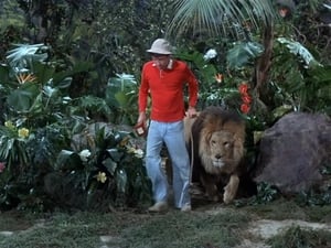 Gilligan's Island 2. évad Ep.24 24. epizód