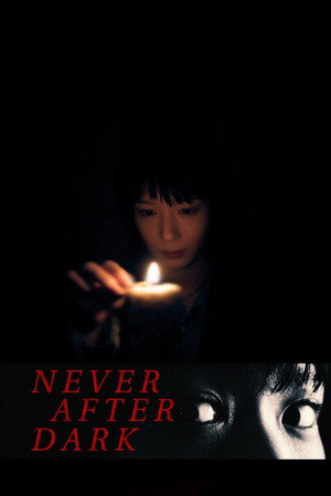 Never After Dark poszter