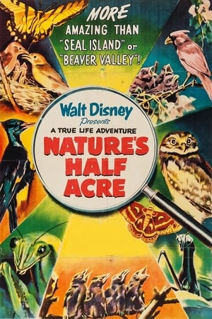 Nature's Half Acre poszter